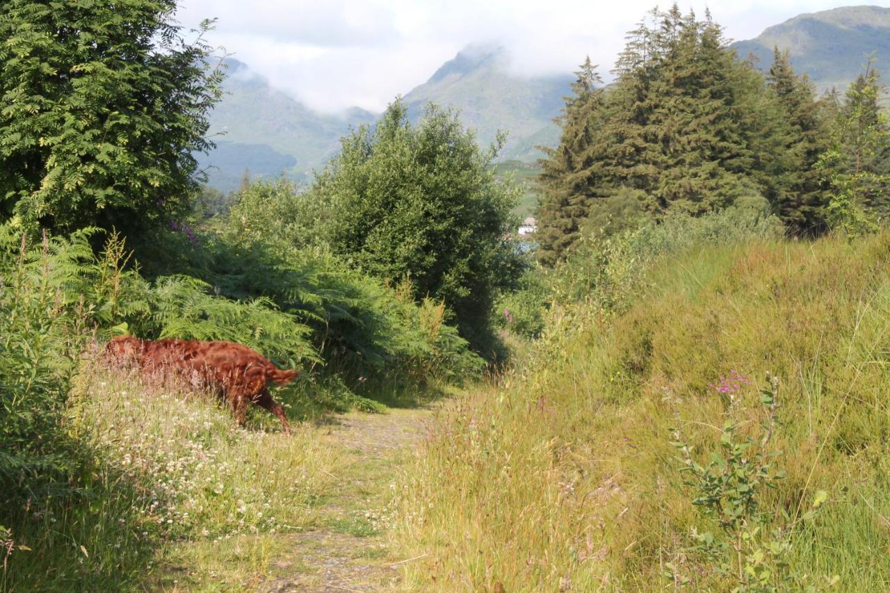 Loch Arklet House Bed & Breakfast Stirling Luaran gambar